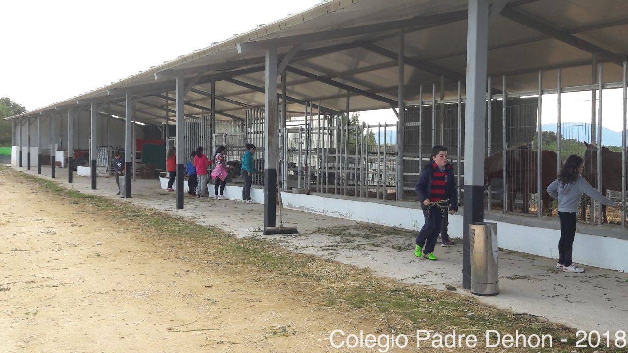 Granja Escuela 4 Primaria